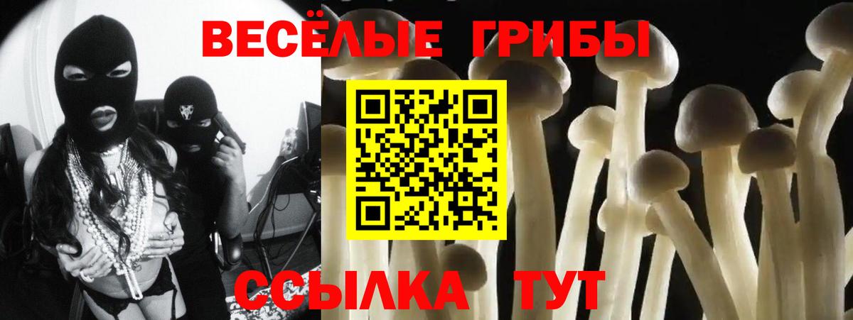 Галлюциногенные грибы мицелий  купить наркотик  Кохма  Вход с VPN  Псилоцибиновые грибы MAGIC MUSHROOMS 